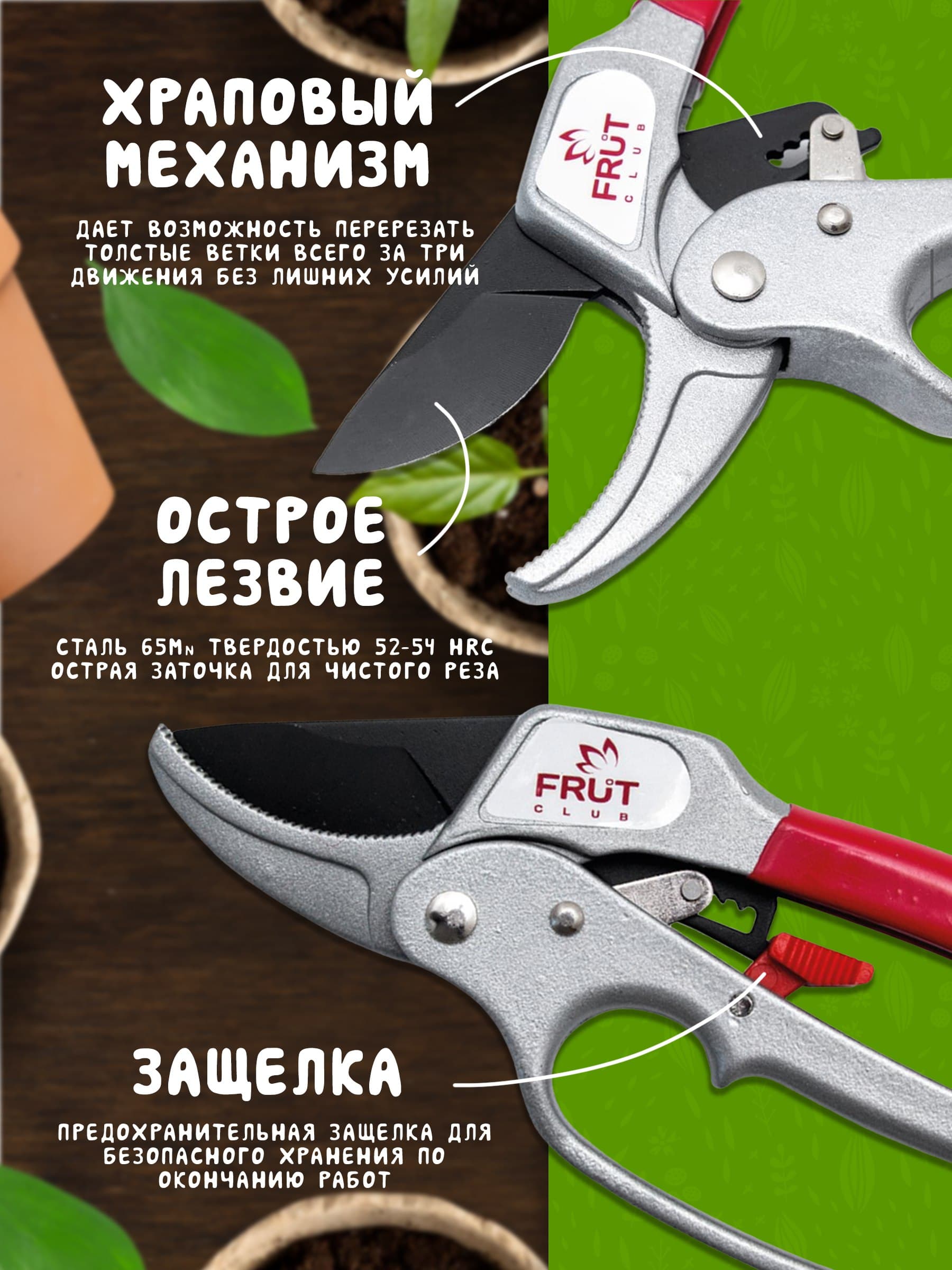 Fruit Club 3